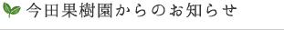 今田果樹園からのお知らせ