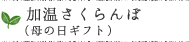 加温さくらんぼ（母の日ギフト）