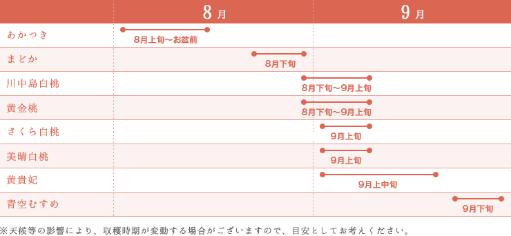 桃の収穫時期